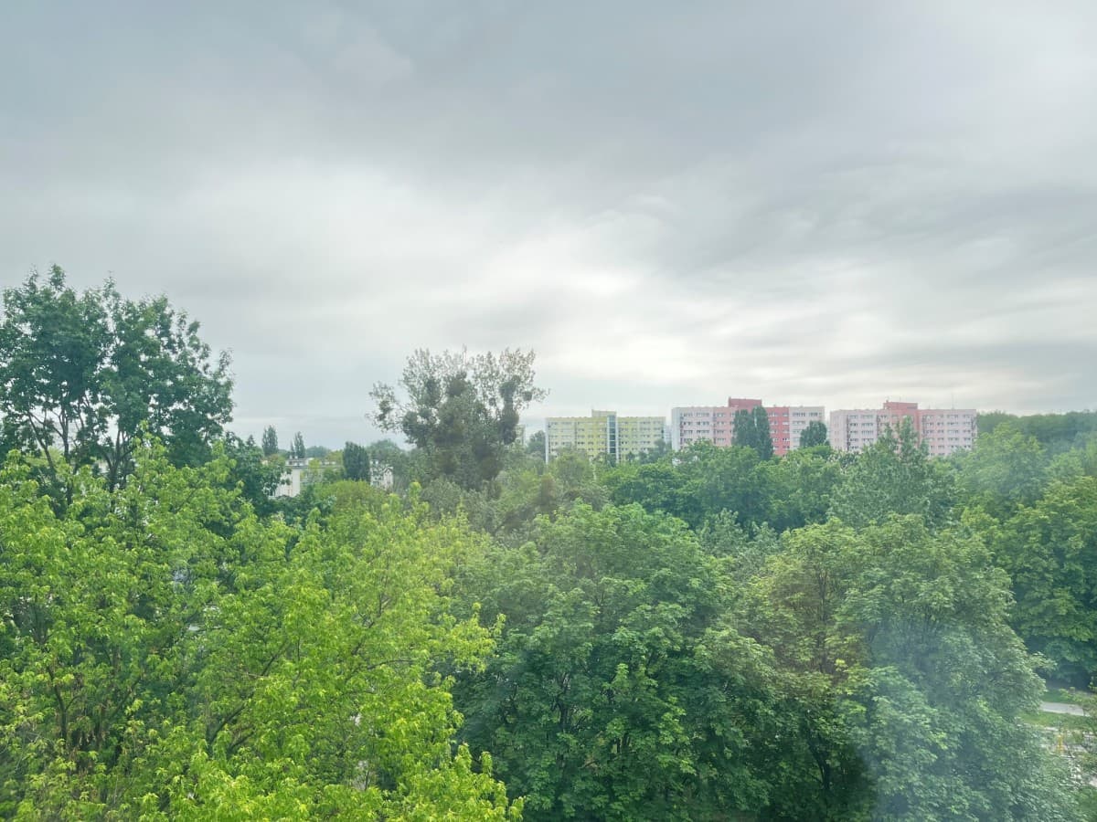 Современная студия с балконом и видом на парк – 9